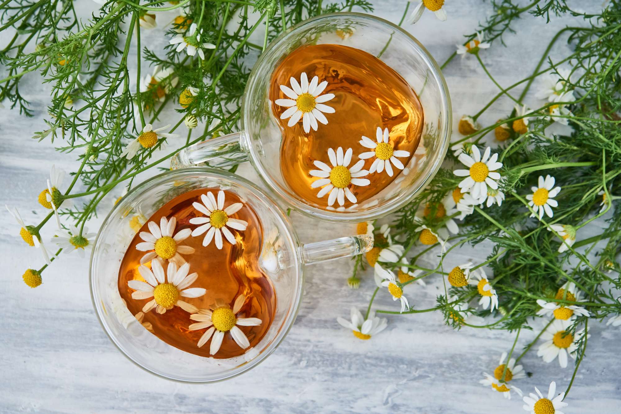 Sipping a few cups of chamomile tea per week, is well-deserved for health.